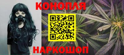 амф Гатчина