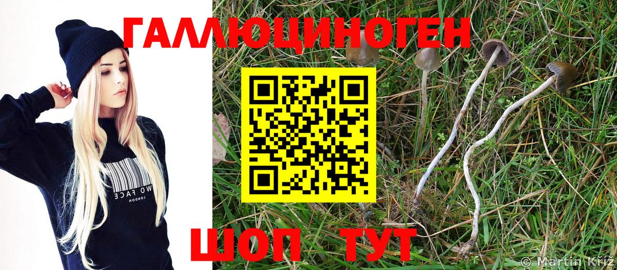 Псилоцибиновые грибы прущие грибы  Вход с VPN  Магнитогорск 